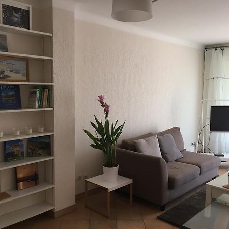 شقة Immeuble Le St Honorat كان المظهر الخارجي الصورة